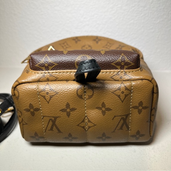 Louis Vuitton Palm Springs Mini - Picture 6 of 9